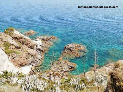 Dia assoleiat el passat divendres a Palamós, amb la mar molt tranquil·la. (Foto: tempspalamos.blogspot.com)