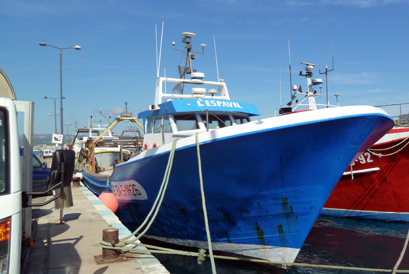 Barca Espavil, una de les que passen a desballestament.Foto Museu de la Pesca
