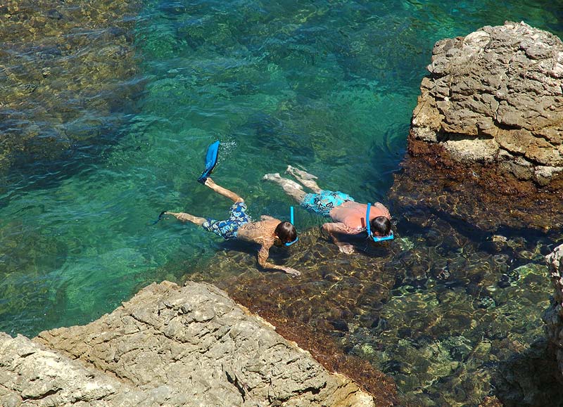 La pràctica d'esnòrquel és una de les activitats d'estiu de Medi Ambient.