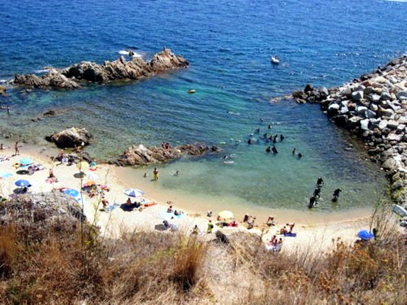 L'Àrea de Medi Ambient fomenta la descoberta de l'espai protegit Castell-Cap Roig.