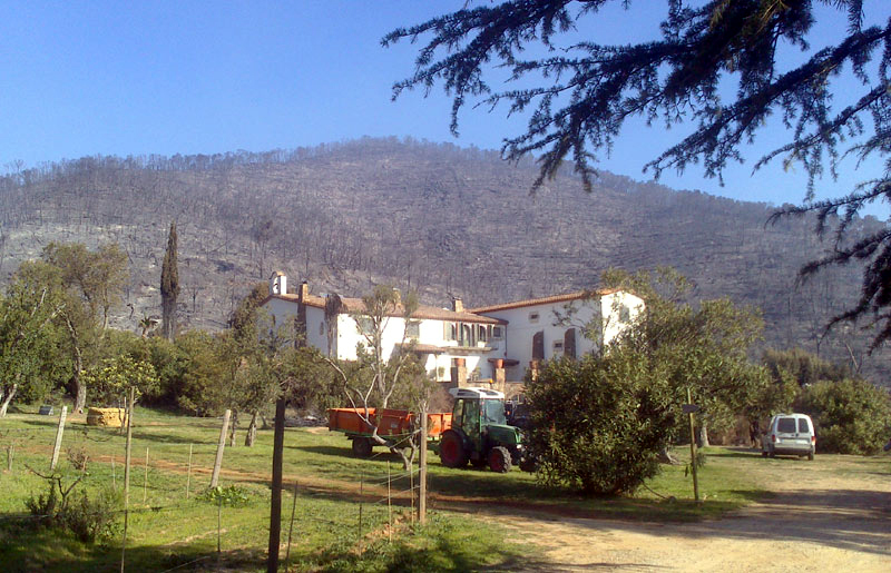 Exemple de prevenció, amb un talla-focs a la finca de Bell-lloch, durant l'incendi del passat mes de març. (Foto: RP)