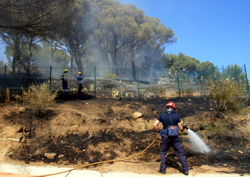 Bombers professionals i voluntaris col·laboren habitualment en els serveis contra incendis. (Foto: Ràdio Palamós).