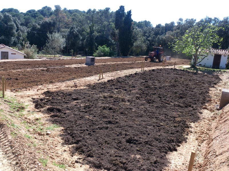 Horts de Can Pere Tià (Foto Àrea Medi Ambient-arxiu)