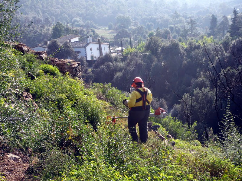 Neteja de matolls a l'entorn del castell de Vila-romà. (Foto: Club Alpí Palamós9