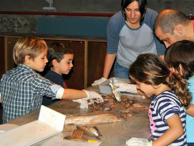A 'Fem Ciència', els joves es convertiran per un dia en biòlegs marins. (Foto: Museu de la Pesca)