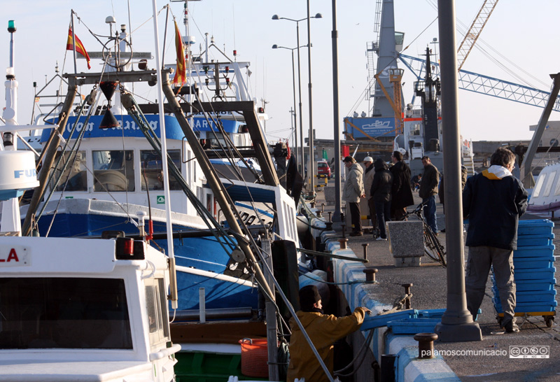 Embarcacions de pesca al port de Palamós. (Foto: Ràdio Palamós).