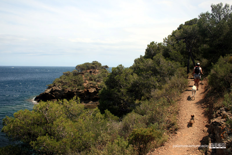Els camins de ronda són uns dels principals atractius paisatgístics de la zona. 