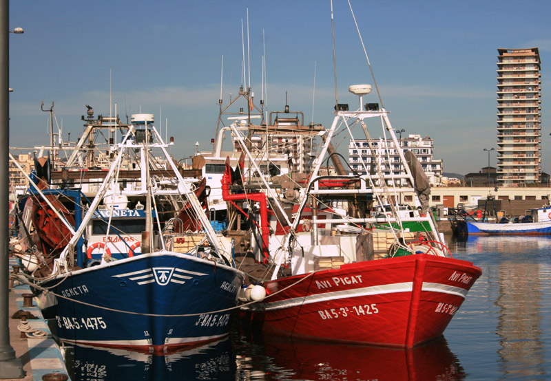 Barques de pesca al port de Palamós. (Foto: Ràdio Palamós).
