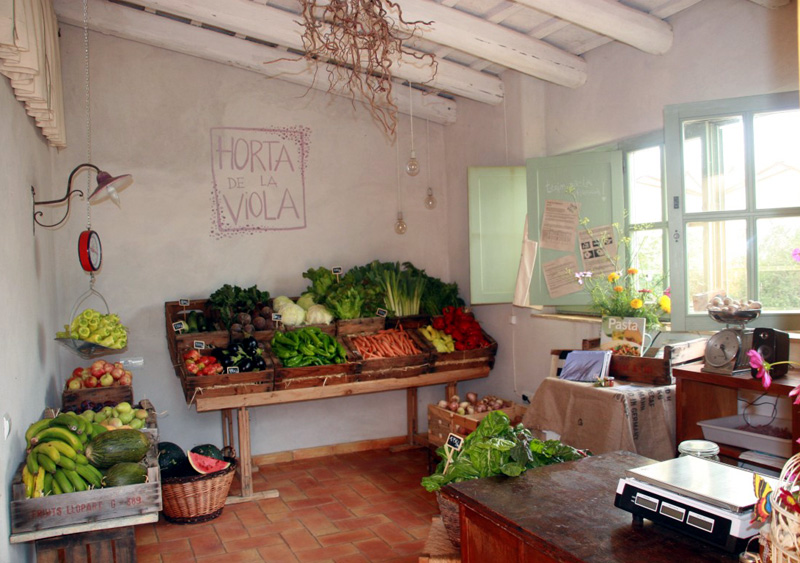 Horta ecològica a Llofriu. (Foto: Horta de la Viola)