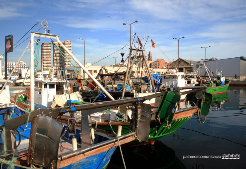 La flota d'arrossegament de Palamós es queda a port a partir d'avui. 