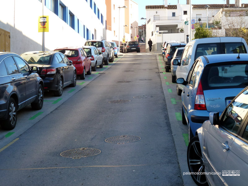La zona verda del carrer de Lleida. 