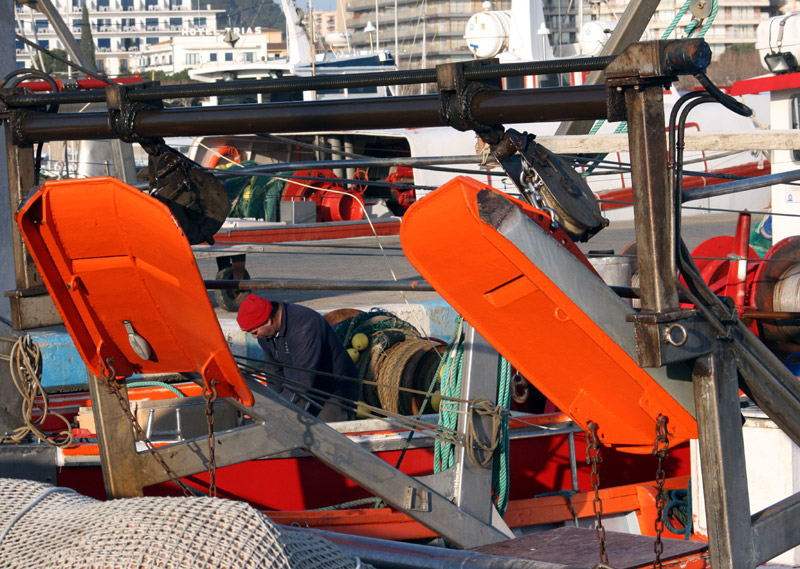 Embarcacions de pesca al port de Palamós. (Foto: Ràdio Palamós).
