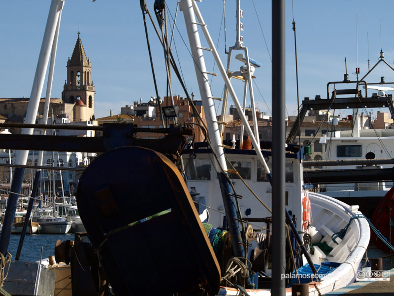 Les barques de la gama completen la primera fase de la veda.