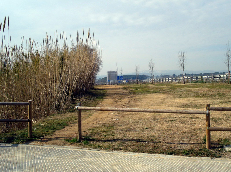 Un punt del futur traçat del carril-bici. (Foto: Ajuntament de Palamós).