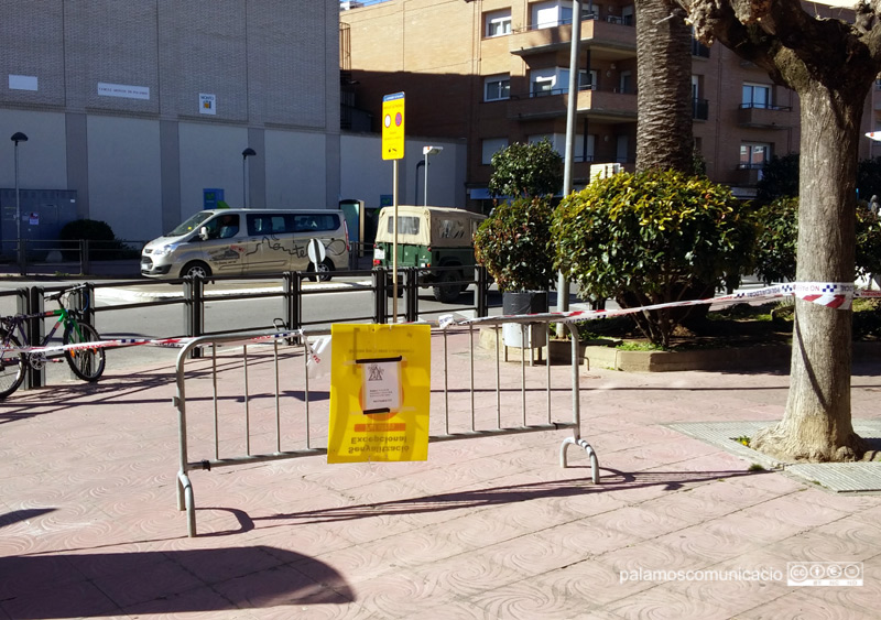 La Policia Local va encintar un perímetre de seguretat on va caure la branca.