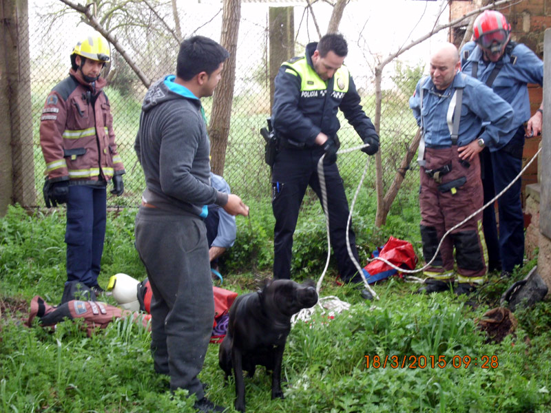 Policies i Bombers van hissar el gos cap a la superfície, rescatant-lo sa i estalvi. (Foto: Policia Local de Palamós.)
