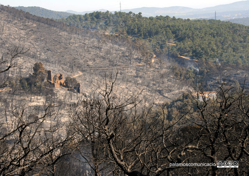 Imatge d'arxiu de l'incendi de l'any passat.