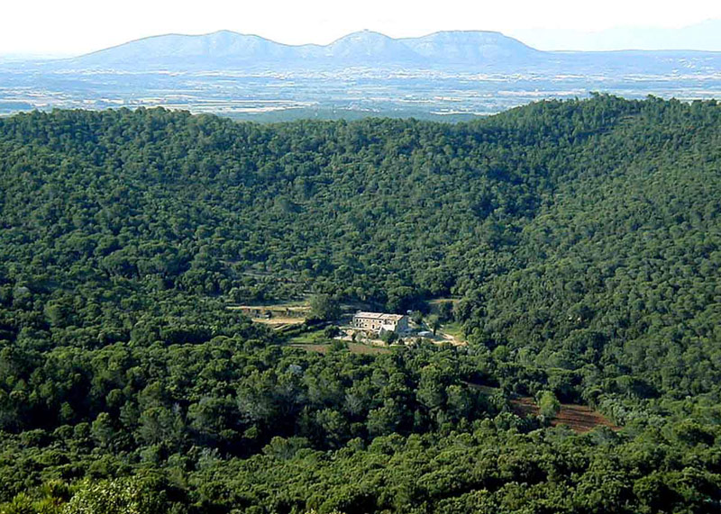 Un dels paratges del massís de les Gavarres, en una imatge d'arxiu.