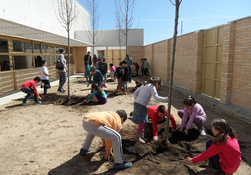 Imatge de la plantada d'arbres d'avui al Vila-romà.(Foto escola Vila-romà SAM)