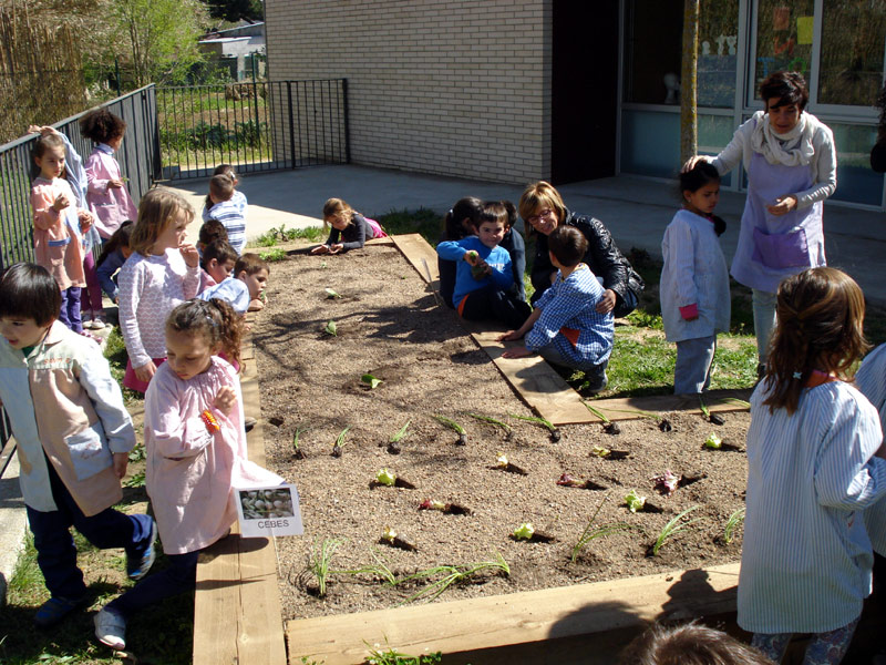 L'hort de l'escola Vila-romà, ahir al matí. (Foto: Ajuntament de Palamós).