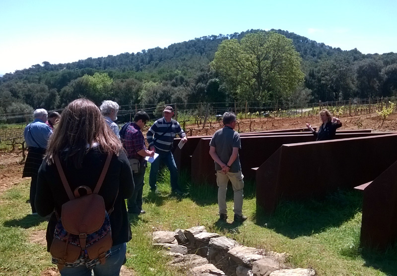 Visita dels periodistes a unes vinyes de la comarca. (Foto: Consell Comarcal del Baix Empordà.)