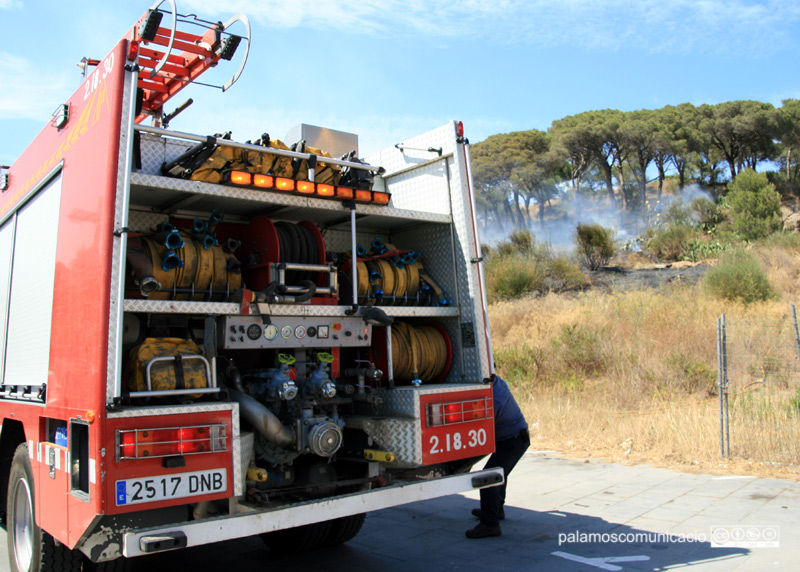 La sequedat del terreny i les altes temperatures impliquen perill d'incendi al bosc.