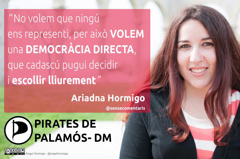 L'ideari pirata es basa en la democràcia directa.