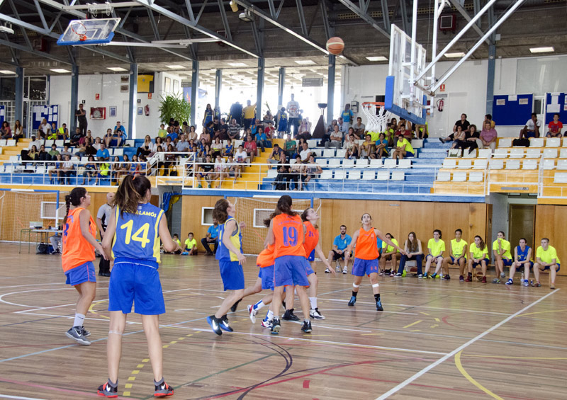 Un partit del Fruites Gónzalez d'aquesta temporada al Pavelló Municipal. (Foto: O. Grassot.)