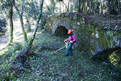 Neteja de bosc a les Gavarres, en una imatge d'arxiu.