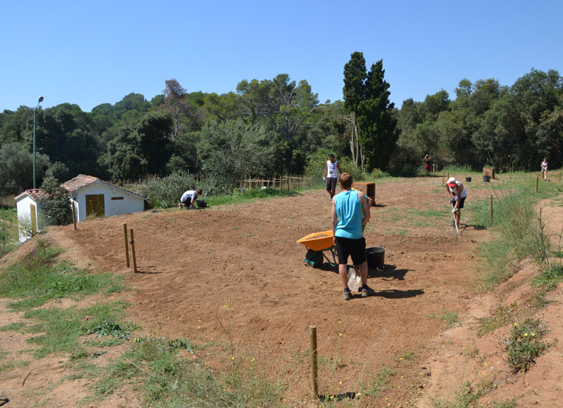 Camp de treball per a joves a Palamós, en una imatge de l'estiu passat. (Foto: Joventut Generalitat).
