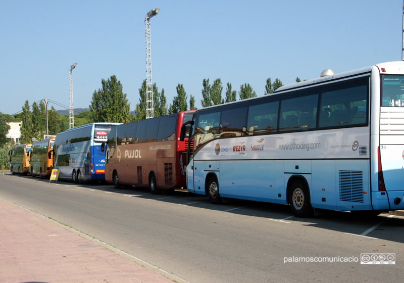 L'ANC organitza autocars per anar a Barcelona, l'11-S.