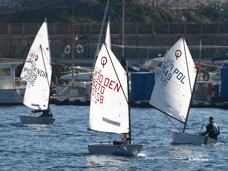 Embarcacions d'Optimist a la badia de Palamós.