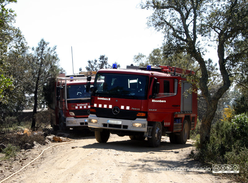 El risc d'incendi forestal ha disminuït aquest mes d'agost.