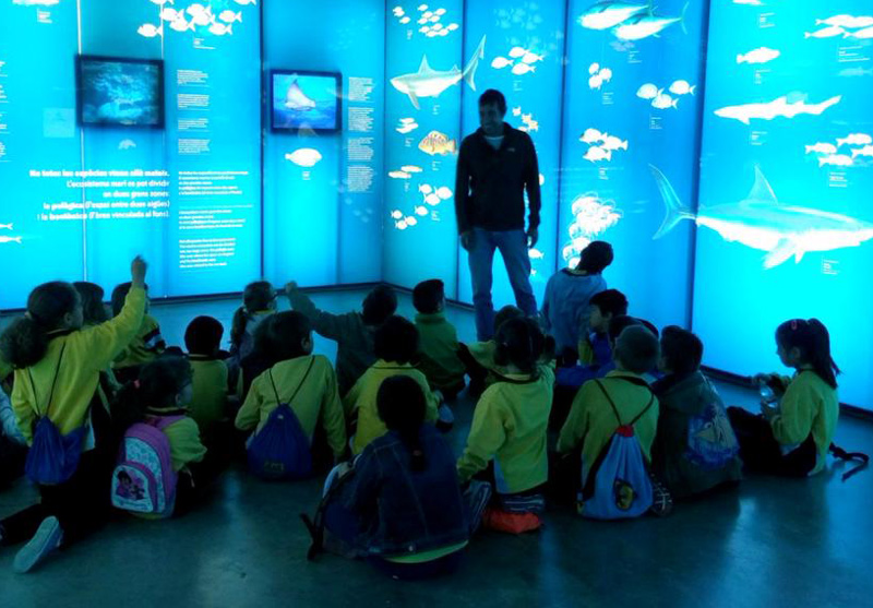 Una visita escolar al Museu de la Pesca de Palamós. (Foto: Museu de la Pesca).