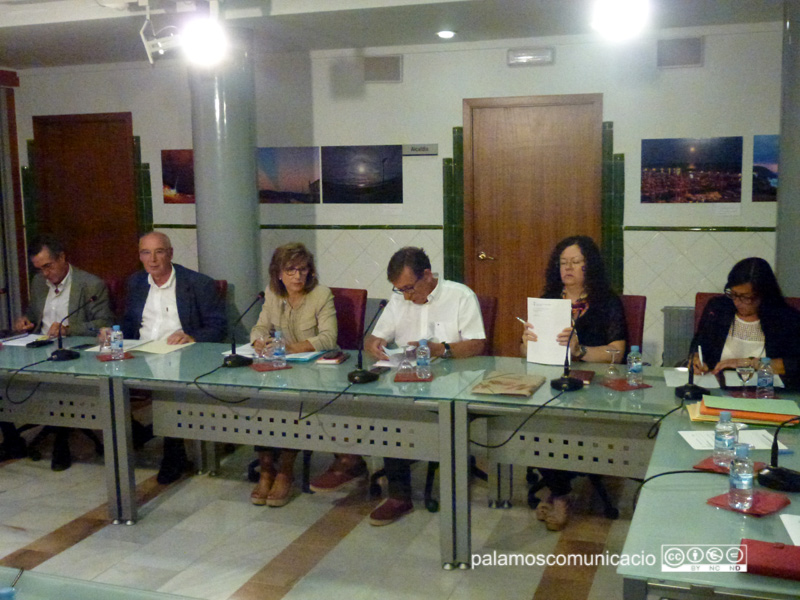 El grup del PSC, en la imatge en el Ple d'ahir, va votar contra el projecte.