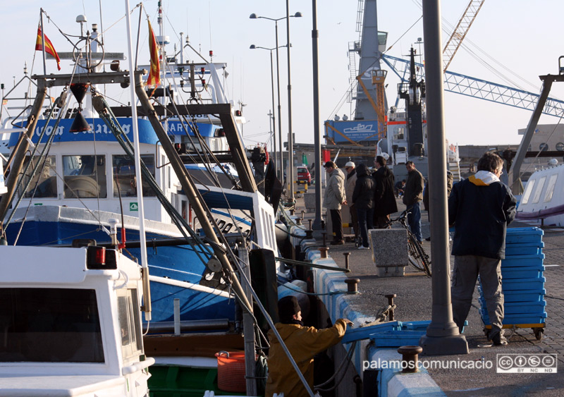 El món de la pesca a Palamós és, de nou, objecte d'un estudi científic.