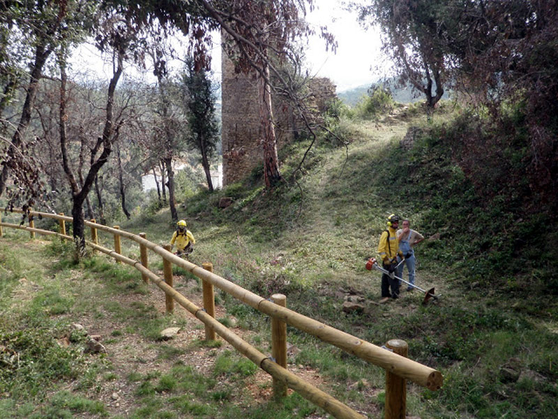 Un dels operatius de neteja a l'entorn del castell de Vila-romà. (Foto: Club Alpí Palamós).