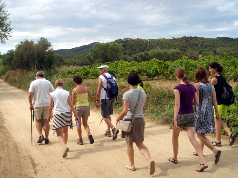 Es faran visites guiades als cellers i masos de Calonge.
