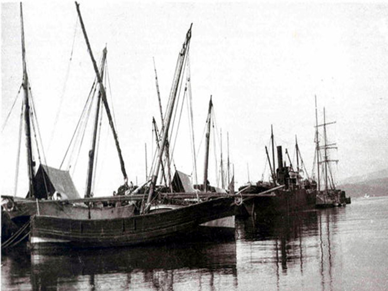 La conferència del Museu de la Pesca viatja a la història del port. 