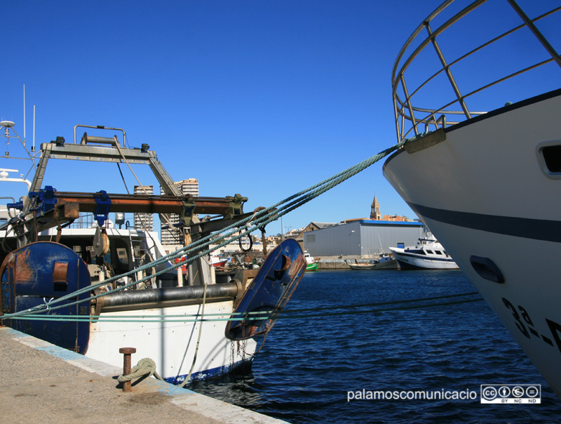Barques d'arrossegament amb les seves característiques portes