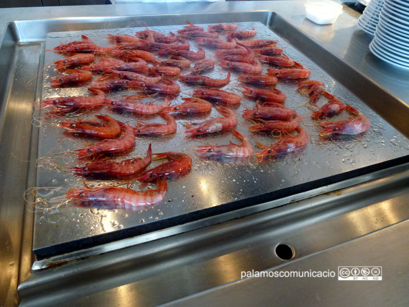La gamba de Palamós està regulada per una normativa que certifica el seu origen.
