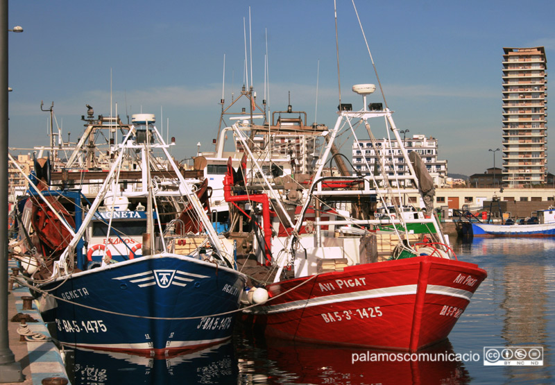 Les teranyines de Palamós es queden a port durant un mes.