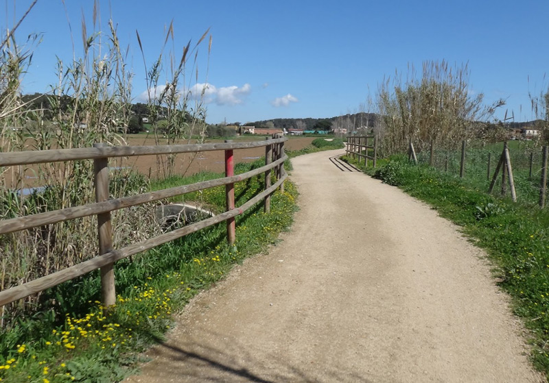 El nou apartat del web gestiona informació sobre senderisme, cicloturisme i bicicleta de muntanya.