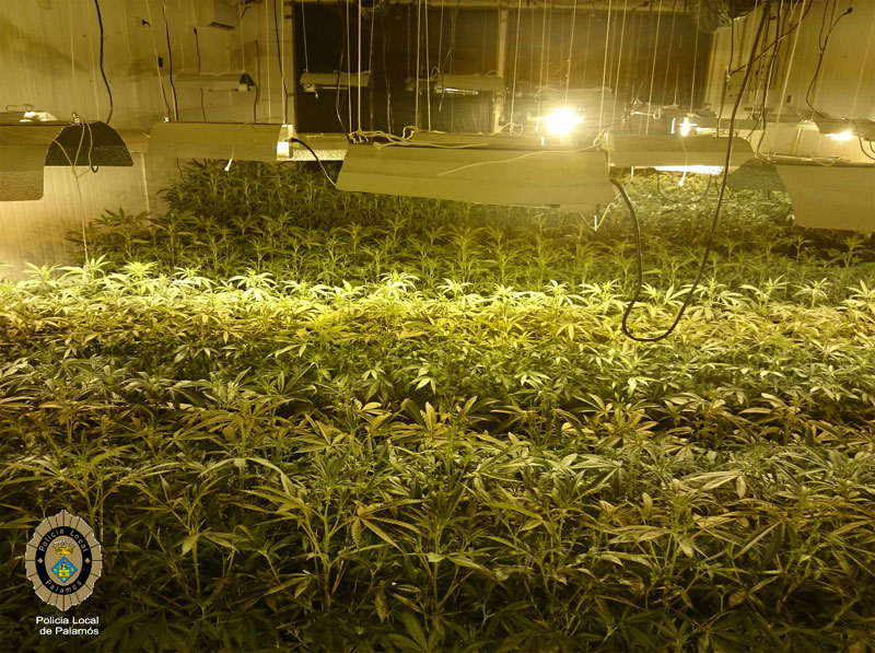 A la nau es van trobar tot tipus d'instal·lacions pel cultiu de plantes de marihuana.