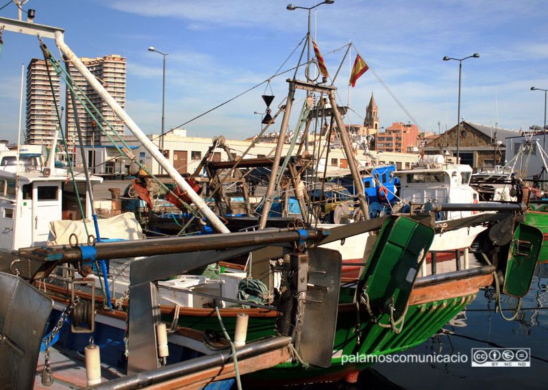 Les barques de la gamba paren cinc setmanes seguides des d'avui.