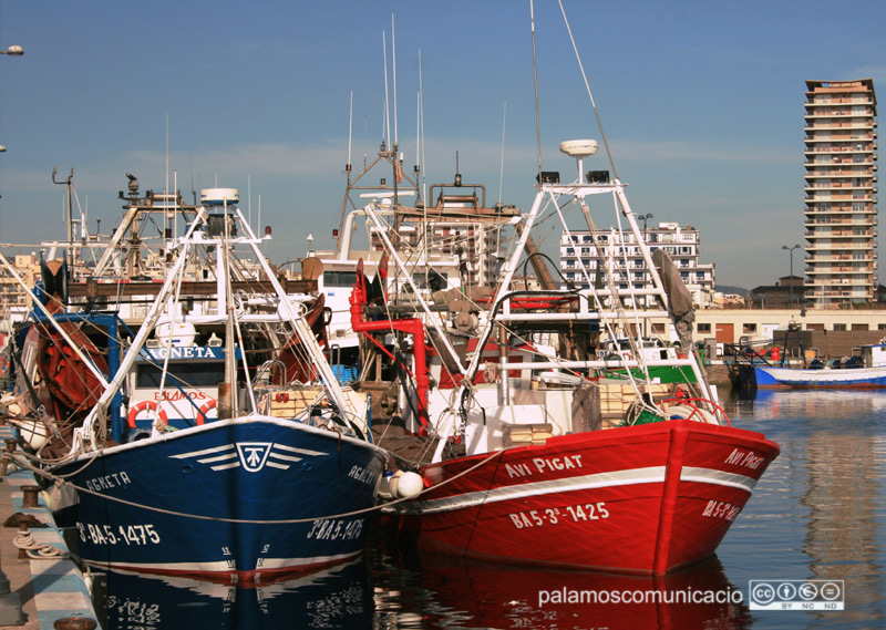Barques de pesca al port de Palamós.