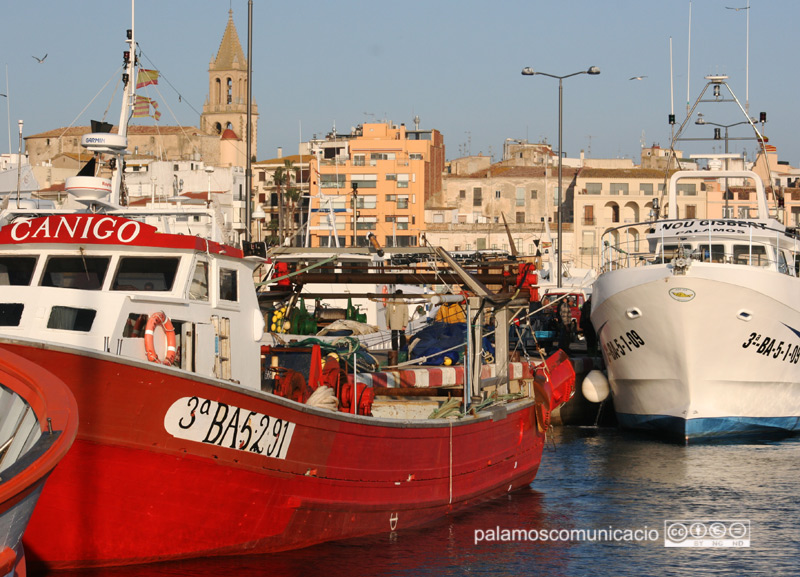 Barques de pesca amarrades al moll del port de Palamós.