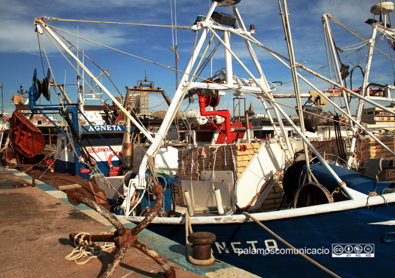 Barques de pesca amarrades al moll del port de Palamós.