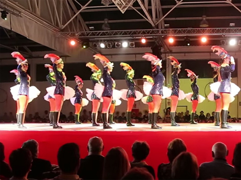 La colla Les Braves actuant en l'exhibició de comparses de l'any passat.