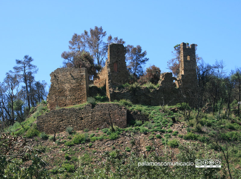 Les restes del castell de Vila-romà, a la vall de Bell-lloc.